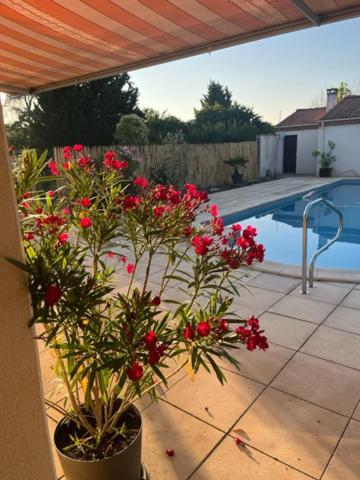 Bed and Breakfast Les Voyages De Louison Lavardac Exterior foto